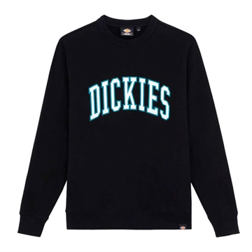 Dickies Sweatshirt Aitkin Black / Deep Lake